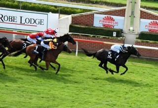 Courte Zarinidi took out the Listed NZB Airfreight Stakes at Wingatui. Photo: Tayler Strong. 